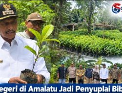 Dari Hutan Amalatu ke Pasar Nasional, Tiga Negeri Dukung Gerakan SBB Asri 2026